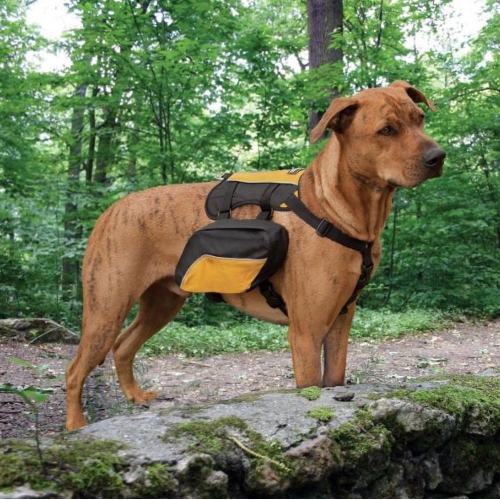 New-Kurgo Wander Pack Harness. Adjustable from 30-85 lbs